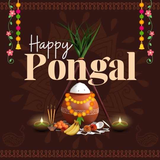 Happy Pongal
